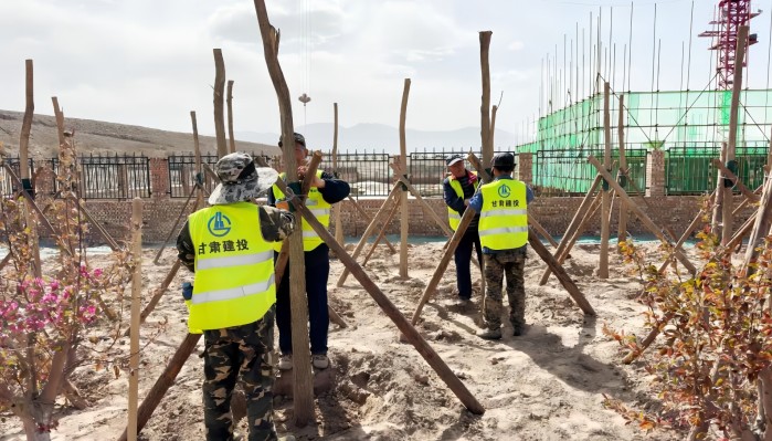 項目建設(shè) | 金昌尾礦壩生態(tài)植被恢復項目奮戰(zhàn)正酣