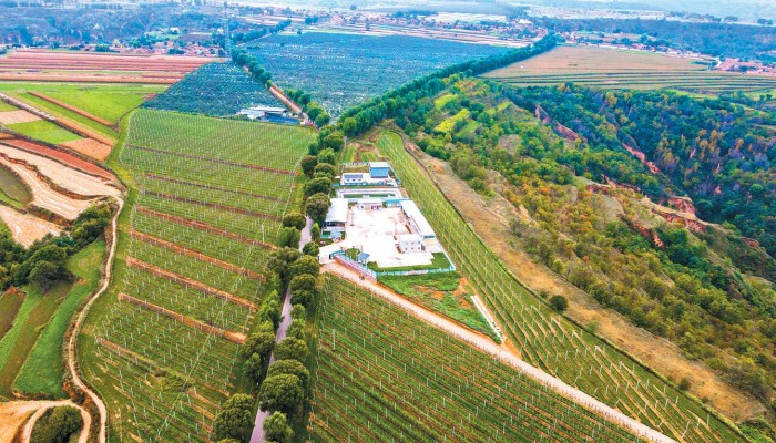 乘風破浪會有時 策馬揚鞭再奮蹄——甘肅建投生態(tài)公司拓市場、強管理、謀發(fā)展紀實