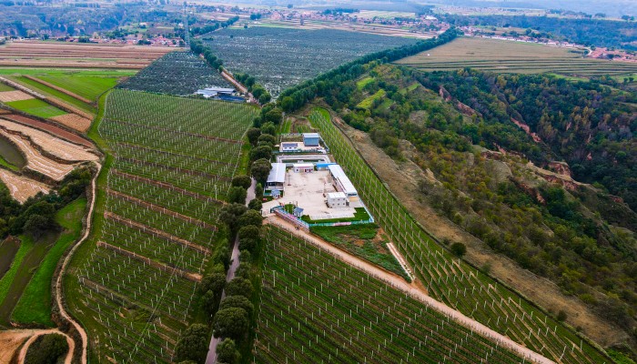 【國企改革深化提升行動】守正創(chuàng)新 精業(yè)篤行 在聚焦高質量發(fā)展中全面提升董事會建設運行水平