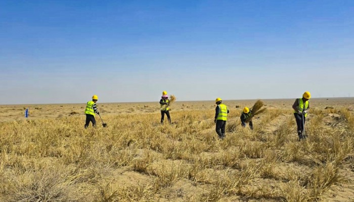 迎風奮進 實干爭先--酒泉市黑河中游防沙治沙林草綜合治理項目建設按下“快進鍵”